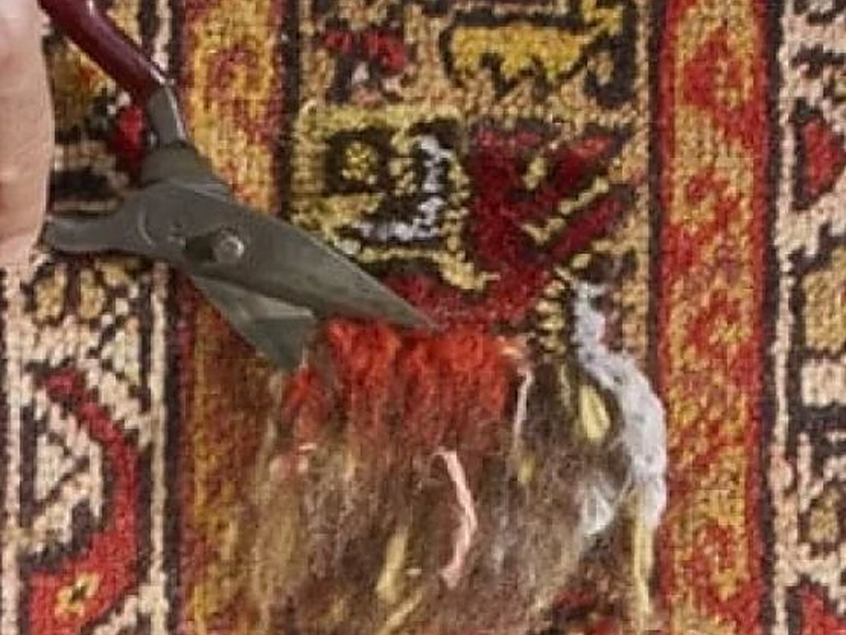 Traitement anti-mites pour tapis d'orient
